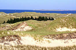 Dnenlandschaft