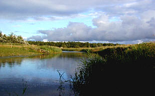 Eine naturbelassene Landschaft, die ein Refugium fr eine Vielfalt von Tierarten ist.